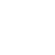 cws-logo-partner-extra-lever